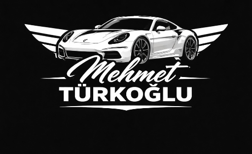 mehmet türkoğlu