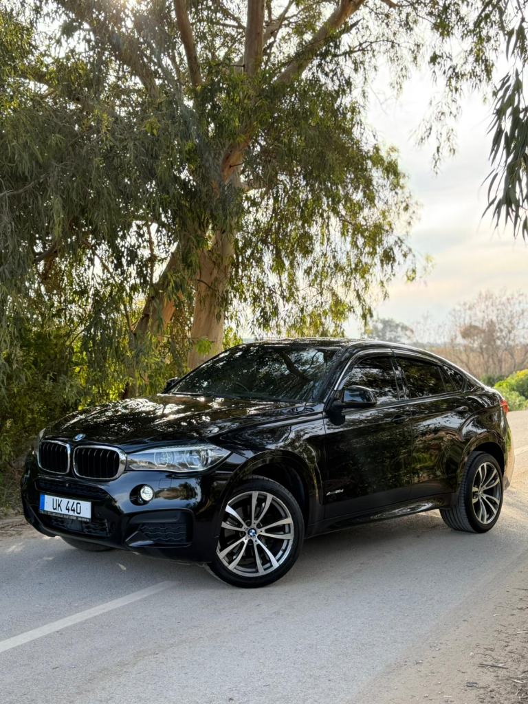 BMW X6 2018 Satılık İkinci El - Thumbnail 8