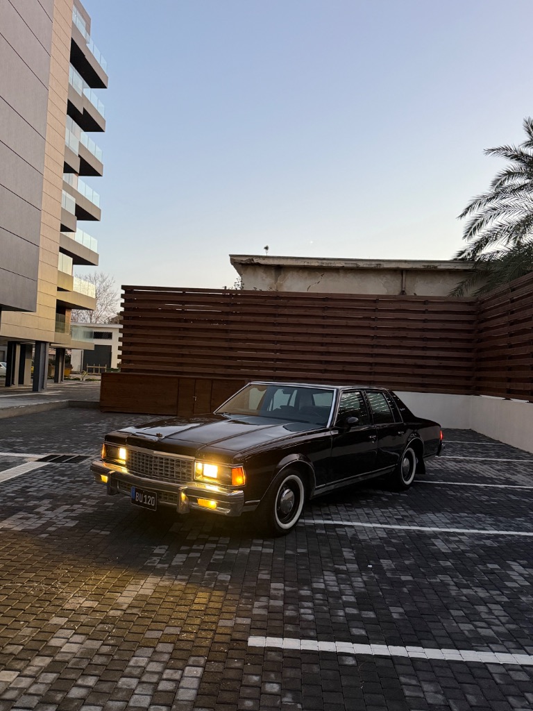 Chevrolet Caprice 1974 Satılık İkinci El - Thumbnail 5