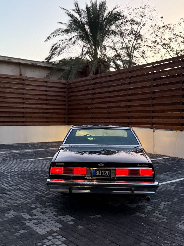 Chevrolet Caprice 1974 Satılık İkinci El - Thumbnail 7