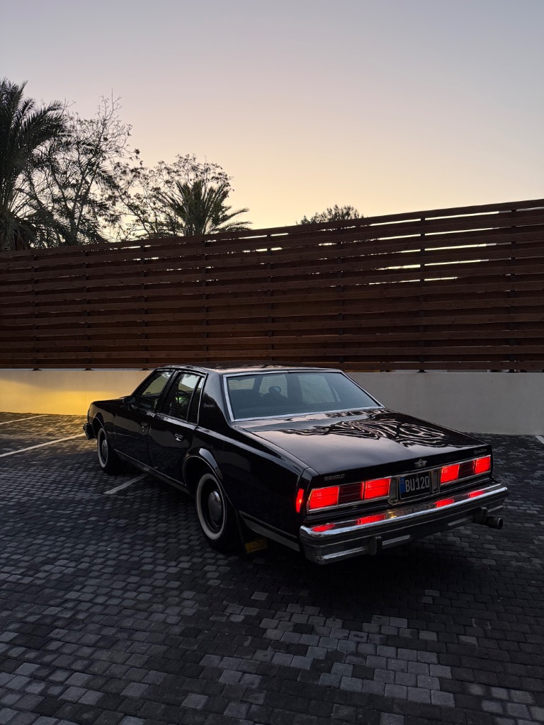 Chevrolet Caprice 1974 Satılık İkinci El - Thumbnail 8