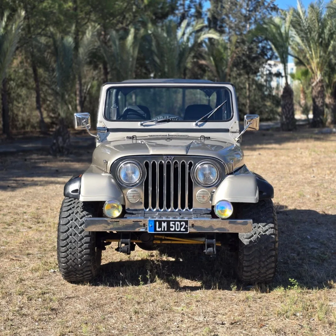 Jeep Wrangler 1983 Satılık İkinci El - Thumbnail 3