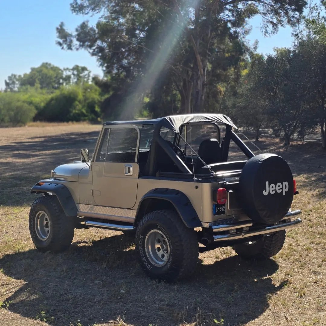Jeep Wrangler 1983 Satılık İkinci El - Thumbnail 7